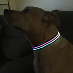 Ultimate Dual Rainbow LED Collar + LED Leash Set