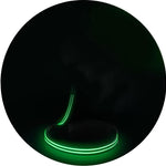 Green Shamrock LED Collar + LED Leash Combo Set