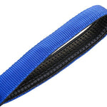 Blue Moon LED Collar + Leash Combo Set