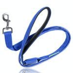 Blue Moon LED Collar + Leash Combo Set