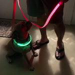 Pink Flamingo LED Collar + LED Leash Set