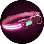 Pink Flamingo LED Collar + LED Leash Set