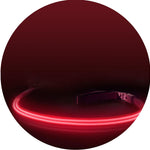 Pink Flamingo LED Collar + LED Leash Set