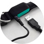 Pink Flamingo LED Collar + LED Leash Set