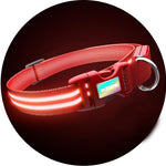 Ruby Red LED Collar + LED Leash Set