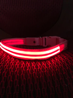 Pink Flamingo LED Dog Collar