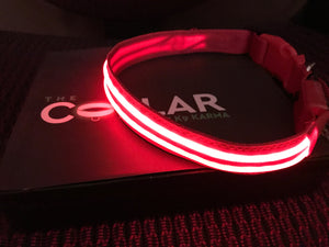 Ruby Red LED Collar + LED Leash Set