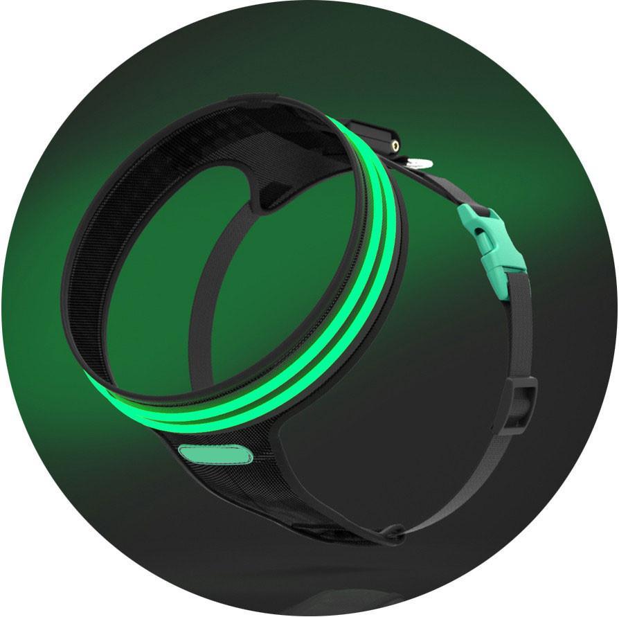 Green Shamrock LED Harness +  LED Leash Set