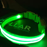 Green Shamrock LED Dog Collar