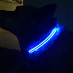 Blue Moon LED Dog Collar