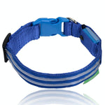 Blue Moon LED Dog Collar