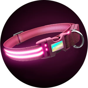 Pink Panther K9 Karma Light Up LED Dog Collar