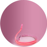 Pink Flamingo LED Collar + LED Leash Set