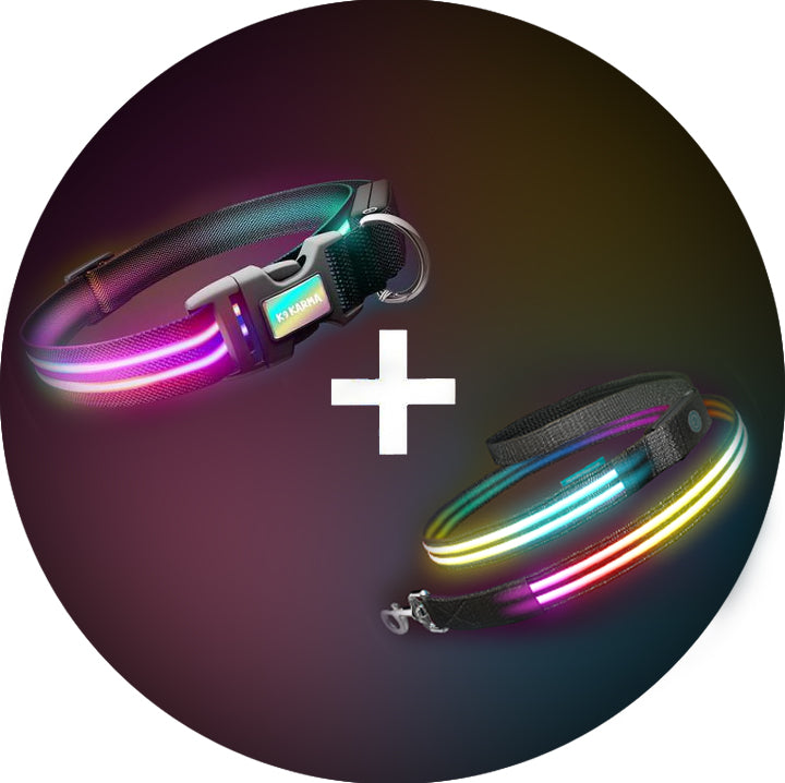 Ultimate Dual Rainbow LED Collar + LED Leash Set